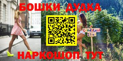круглые Лесосибирск