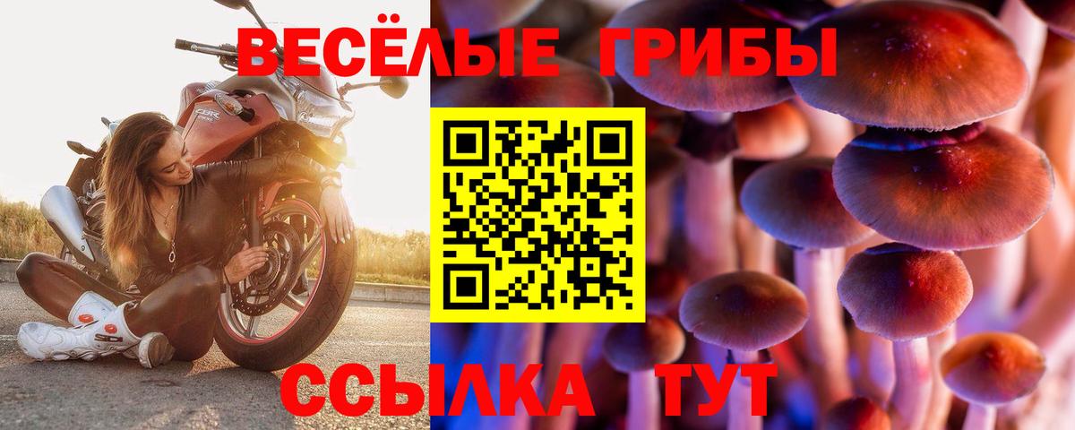 Дмитров  Псилоцибиновые грибы мицелий  Вход с VPN 